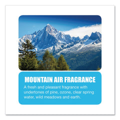Big D Industries 135800 1-Gal. Water-Soluble Deodorant - Mountain Air (4/Carton)