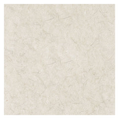 Boardwalk 17 in. Diameter Natural Burnishing Floor Pads - White (5/Carton)