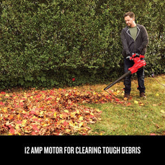 Factory Reconditioned Craftsman 12 Amp Corded Blower/Vacuum/Mulcher Kit
