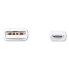 Innovera 10 ft. USB Apple Lightning Cable - White