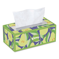 Kleenex Trusted Care 2-Ply Facial Tissue - White (12/Carton)