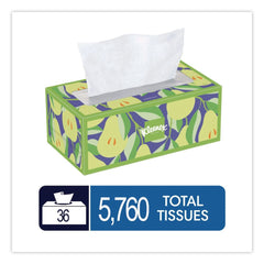 Kleenex Trusted Care 2-Ply Facial Tissue - White (12/Carton)