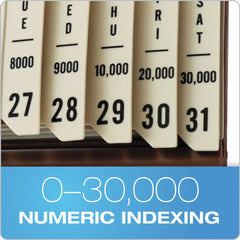 Pendaflex General Purpose 31-Divider Indexed Sorter - Letter Size/Brown Frame