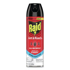 Raid 17.5 oz. Aerosol Spray Ant and Roach Killer - Outdoor Fresh (12/Carton)