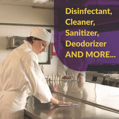 Simple Green 3410000430501 1 gal. d Pro 5 Disinfectant