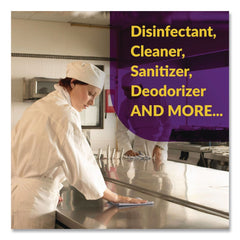 Simple Green 5 Gallon d Pro 5 Disinfectant - Unscented