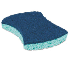 Scotch-Brite PROFESSIONAL 3000CC 2.8 in. x 4.5 in. 0.6 in. Thick Power Sponge - Blue/Teal (5/Pack)