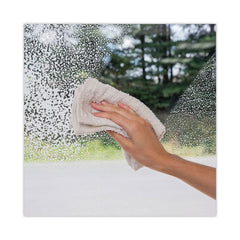 WEIMAN 19 oz. Aerosol Spray Can Foaming Glass Cleaner
