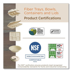 World Centric TRSC2SLLF 8.2 in. x 5.7 in. x 0.7 in. PLA Lined PFAS-Free Paper Fiber Trays - Natural (500/Carton)