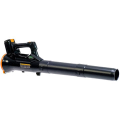 Scott's 20V Lithium-Ion Cordless Electric Leaf Blower Kit (4 Ah)
