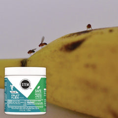 SC Johnson STEM Fruit Flies Trap 5.4 oz Jar 8/Carton