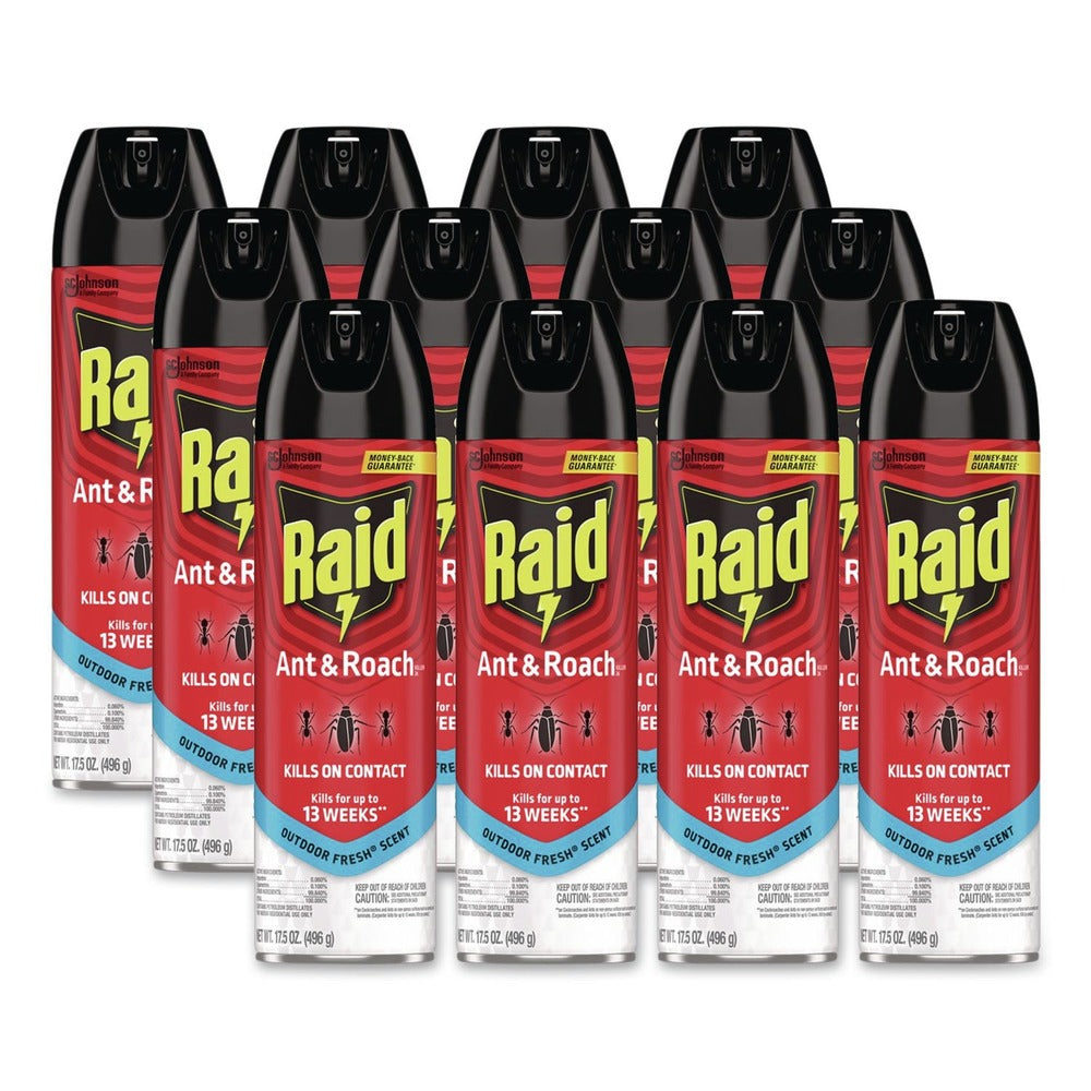 Raid 17.5 oz. Aerosol Spray Ant and Roach Killer - Outdoor Fresh (12/Carton)
