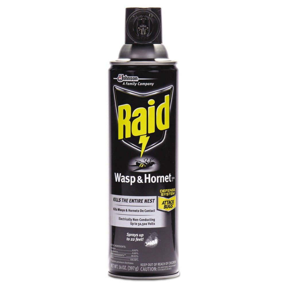 Raid 14 oz Wasp and Hornet Killer Aerosol Spray