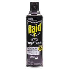 Raid 14 oz Wasp and Hornet Killer Aerosol Spray