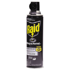Raid 14 oz Wasp and Hornet Killer Aerosol Spray