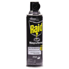 Raid 14 oz Wasp and Hornet Killer Aerosol Spray