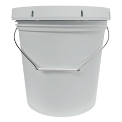 Theochem Laboratories 45 lbs. Pail Power HD Detergent - Fresh (1/Carton)