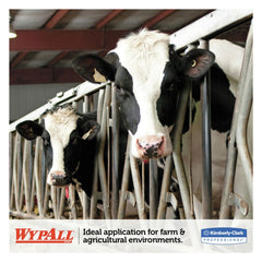 WypAll L10 SANI-PREP POP-UP Box 1-Ply 10.25 in. x 10.5 in. Dairy Towels - White (110/Pack, 18 Packs/Carton)